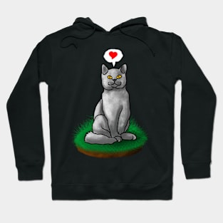 Gray cat show some love to everyone Hoodie